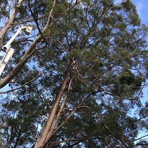 Meet your Posher, Ron